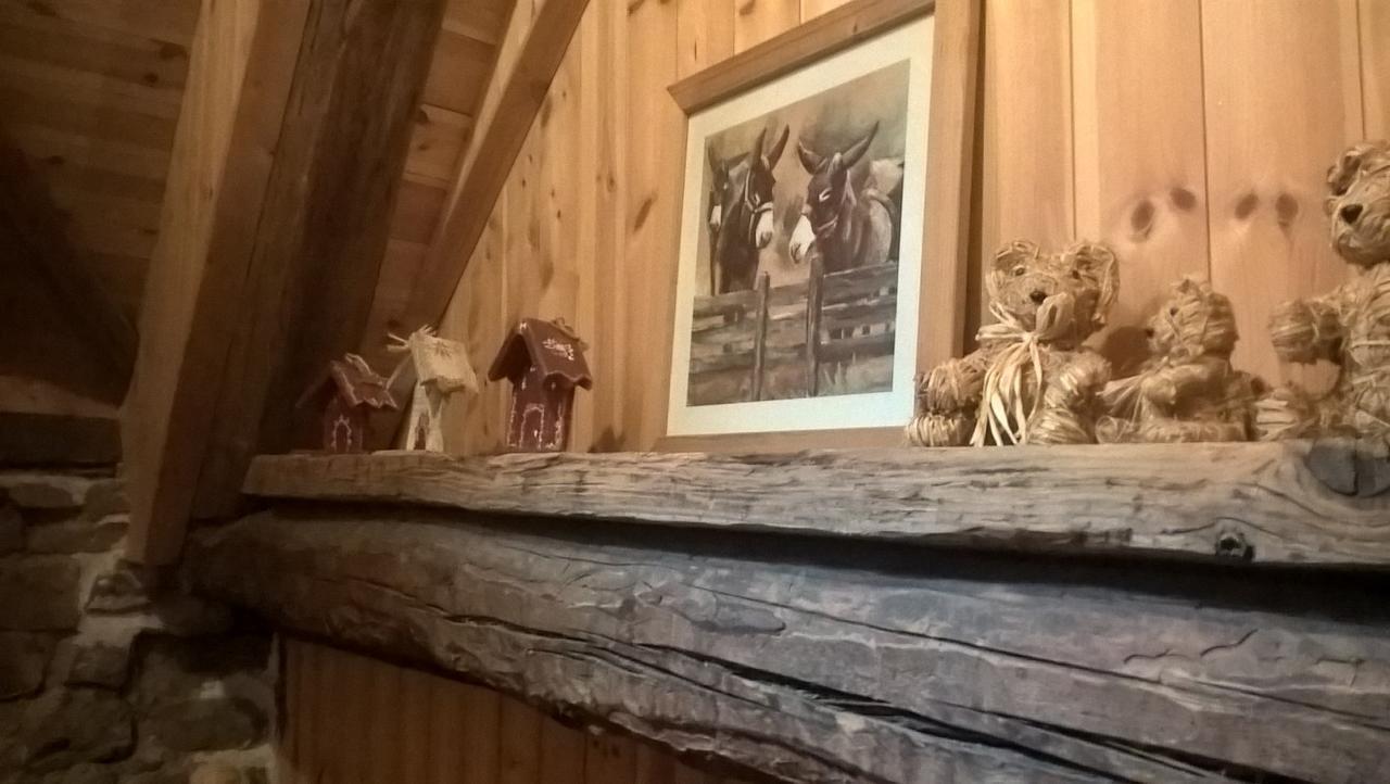 Gite Du Bois De L'Ours Орсьер Экстерьер фото